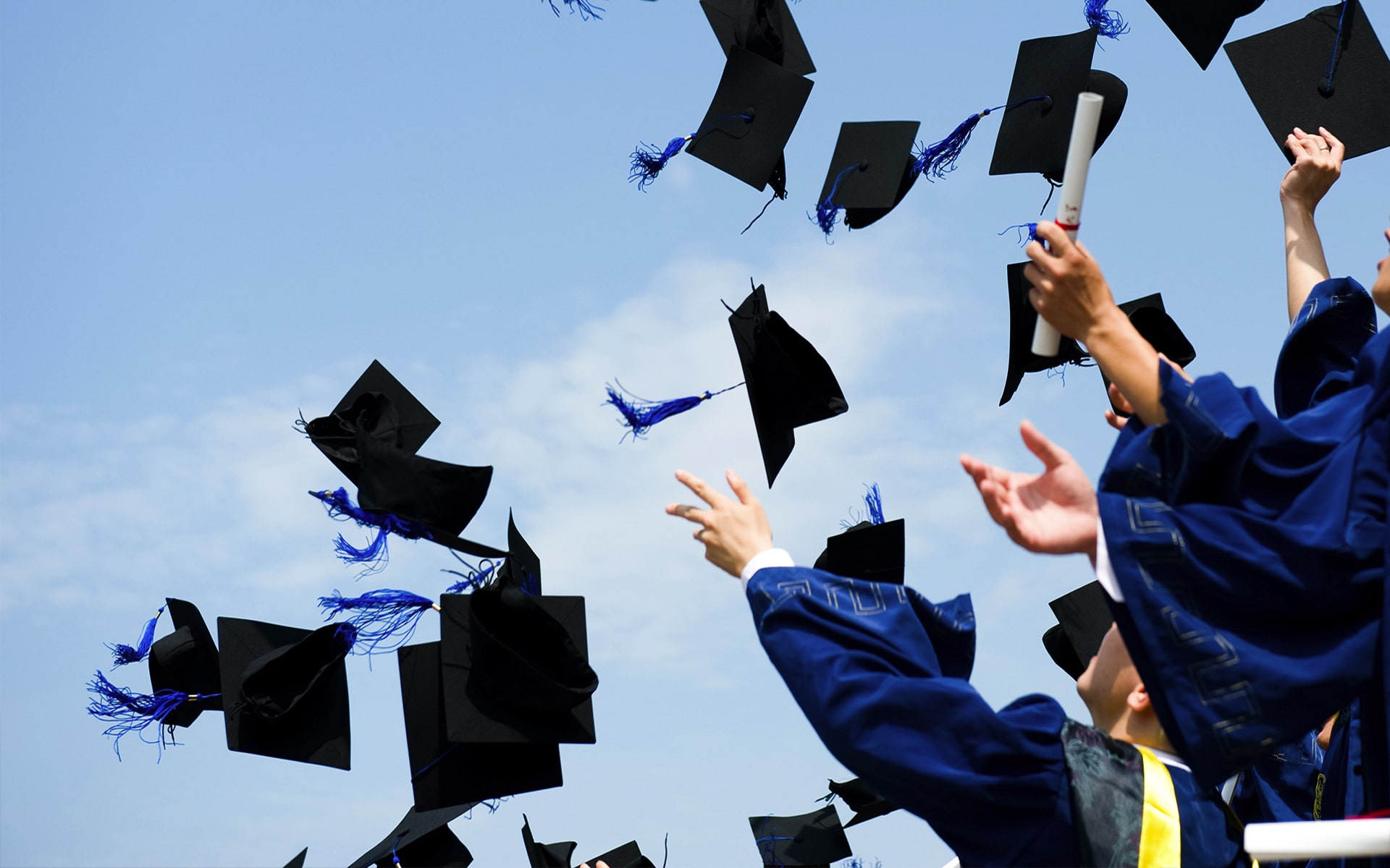 University Admission